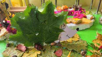 /Files/images/darunki_osen/391738462_1428313484419091_3317763102757173888_n.jpg