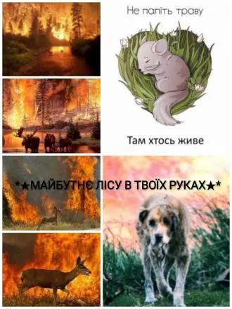 На уроці здоров'я, безпека добробут учні 5 класу створювали електронні листівки "Не паліть суху траву, не нищіть природу"
