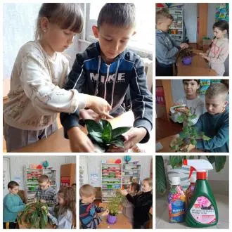 Учні мали змогу ознайомитися з комплексом заходів, спрямованих на запобігання поширенню шкідників і хвороб серед рослин та захист рослин від негативного впливу шкідливих факторів.